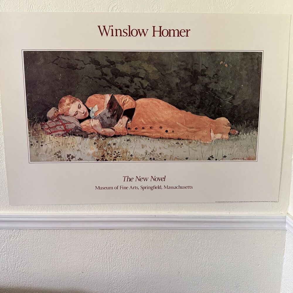 Winslow Homer Art Poster Print Museum of Fine Arts Springfield MA The New Novel